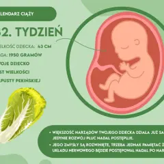 Waga dziecka w 32 tygodniu ciąży: Zaskakujące fakty o rozwoju płodu